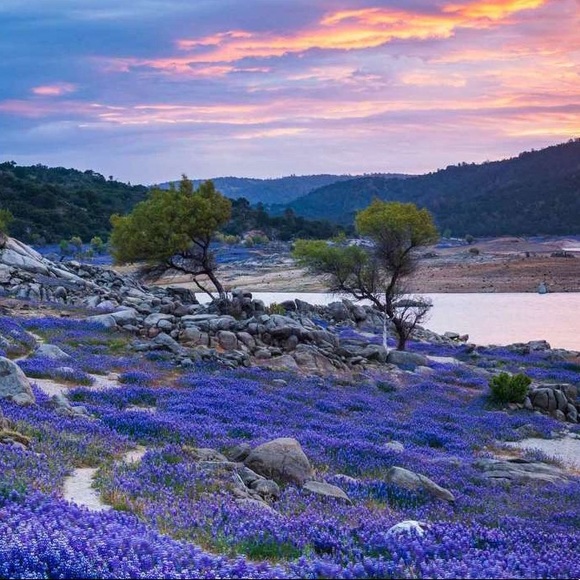 Meet your Posher, Archisha - Picture 1 of 1